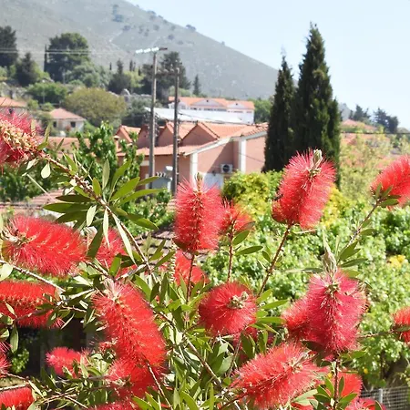 Apartment Starvillas And Agia Efimia