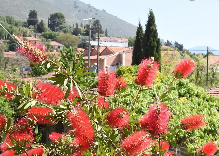 Apartment Starvillas And Agia Efimia