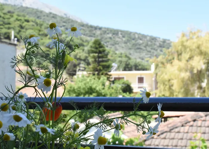 Starvillas And Apartment Agia Efimia